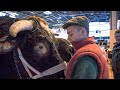 Bêtes De Concours Et Produits D Exception Les Champions Du Salon De L Agriculture