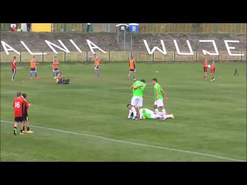 Rozwój Katowice - Wisła Płock 2:1 (gole)