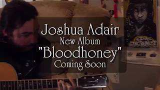 Joshua Adair - Bloodhoney [Promo 01]