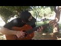 NANA CAYMMI - MUDANÇA DOS VENTOS