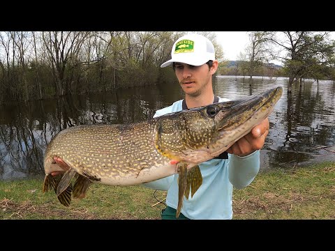 Fishing GIANT LURES for TROPHY PIKE!