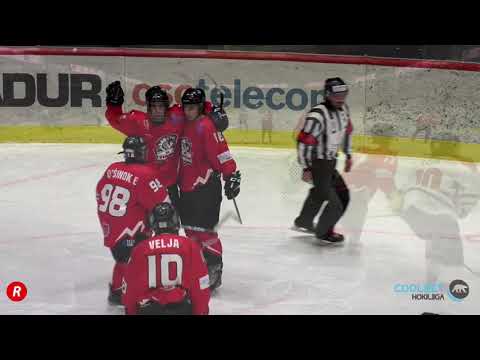 HC Vipers - HC Panter VÄRAVAD, 24.01.2021 - Coolbet Hokiliiga