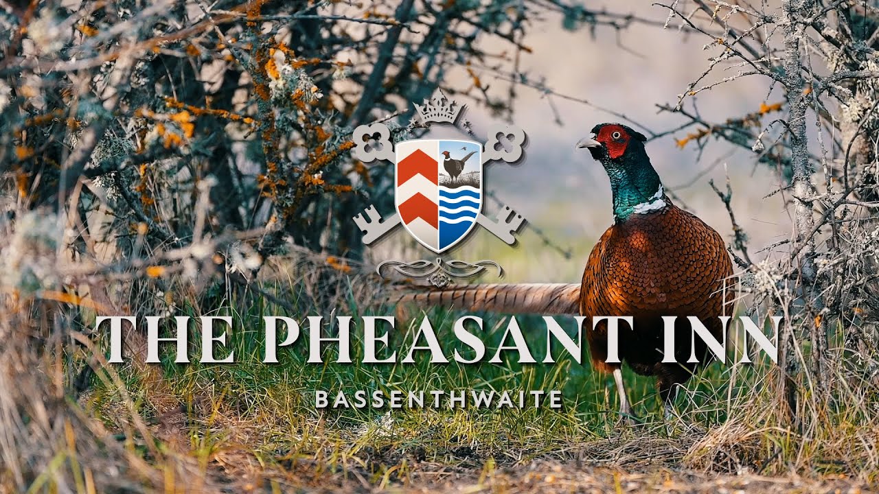 Discover Bassenthwaite
