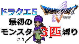 【ドラクエ5】仲間になった順モンスター3匹縛りでクリアを目指す【スーパーファミコン版・レトロゲーム実況】