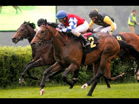 Berlin-Hoppegarten: Preis von Woltersberg (D) - Sieger: Wirbelwind