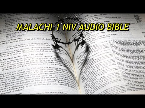 MALACHI 1 NIV AUDIO BIBLE(with text)