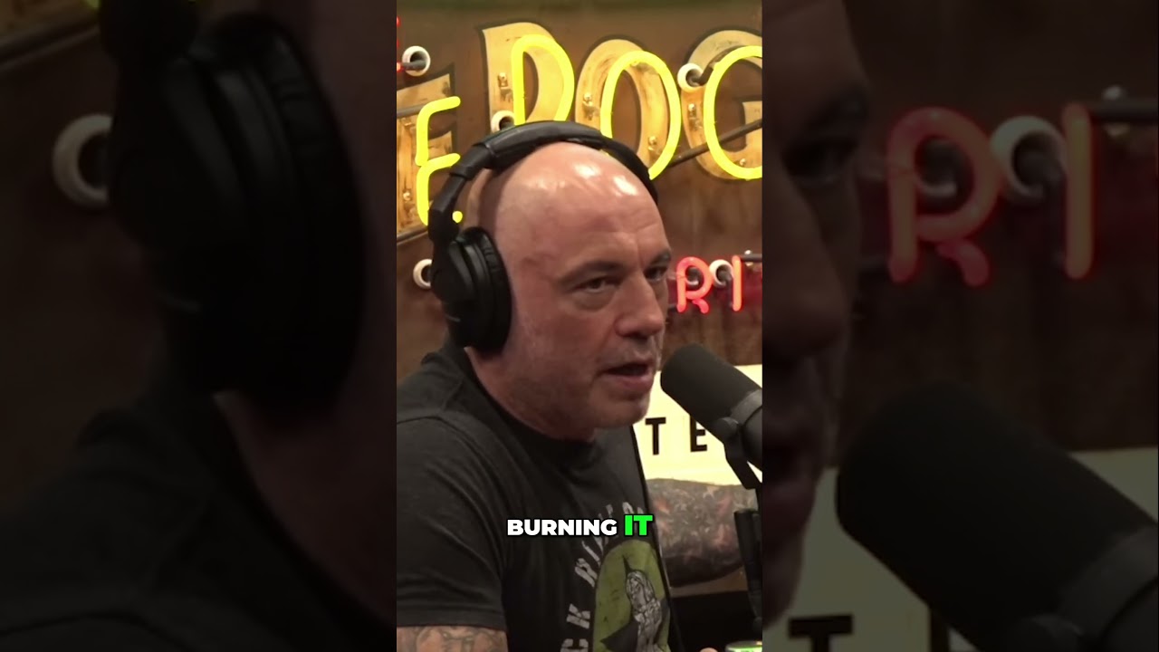 Singapore's Revolutionary Waste Management  Trash into Treasure