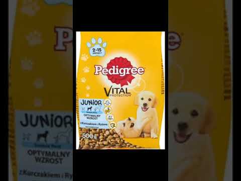 Co myślę o karmie Pedigree - Czy jest dobra dla psa 🐕