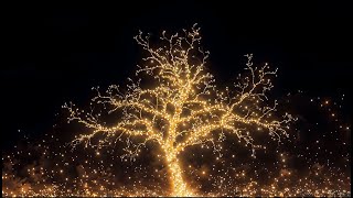 Music for Meditation | Healing Music | Energy Recovery | Body Cleansing