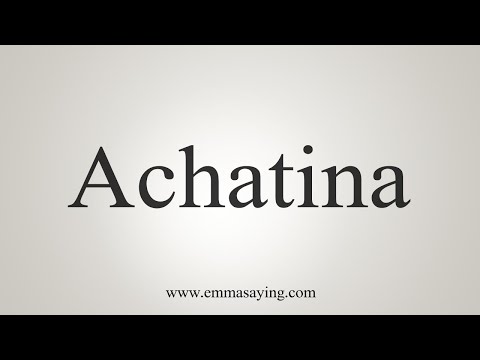 How To Say Achatina