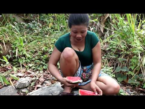 Find and meet natural watermelon for food - Natural watermelon eating delicious #10 Video