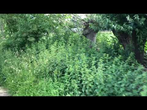 F1 Tornado Trail Nijmegen - location park Wolfkuilseweg