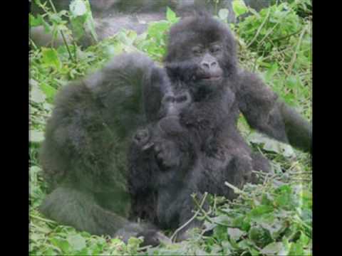 MC Breed ft. The D.O.C - Guerilla pimpin'