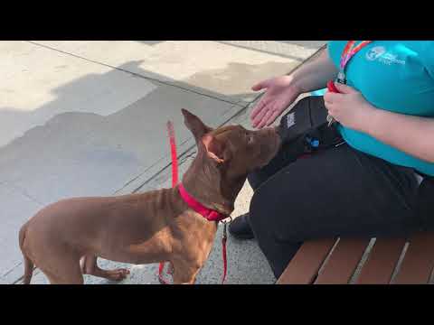 Zeena 95408 | A Genius is Born !!