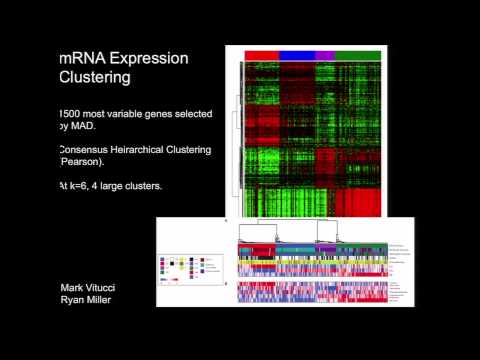 Comprehensive and Integrative Genomic Characterization of Diffuse Lower Grade Gliomas - Daniel Brat