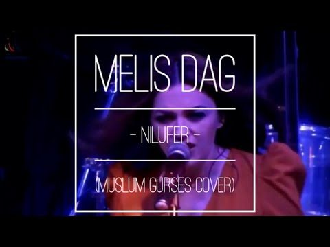 Melis Dağ - Nilüfer Cover (Müslüm Gürses) Canlı Performans