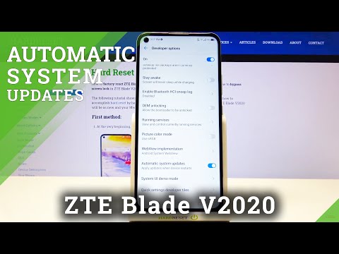 How to Enable Auto System Updates in ZTE Blade v2020 – Find Automatic System Updates Option