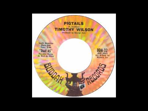 Timothy Wilson - Pigtails - Raresoulie