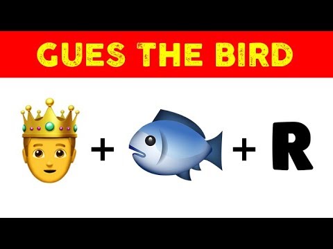 download lagu mp3 mp4 Guess Bird, download lagu Guess Bird gratis, unduh video klip Guess Bird