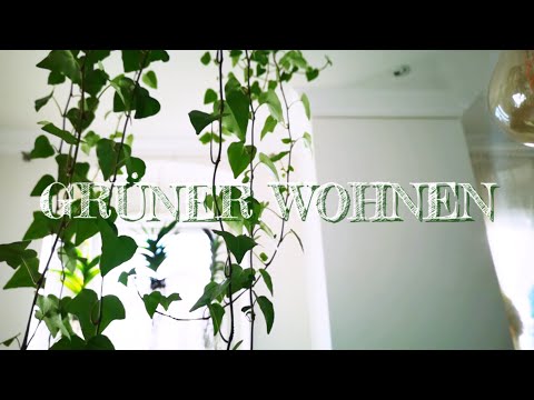 Efeu als Zimmerpflanze - geht das? | Inneneinrichtung & Pflege, Pflanze für Anfänger