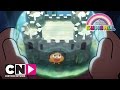 Darwins introductie | De Wonderlijke Wereld van Gumball | Cartoon Network