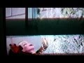 Sofia The First - All you desire Lyrics down below ...
