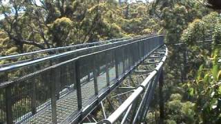 preview picture of video 'Treetop Walk at the Valley of the Giants Wilderness Discovery Centre, Denmark, Western Australia'