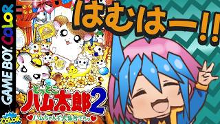 【とっとこハム太郎２ハムちゃんず大集合でちゅ】ハムスクールミュージカル#02【ハムちゃんず歓迎】