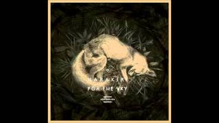 Harakiri For The Sky - Burning From Both Ends