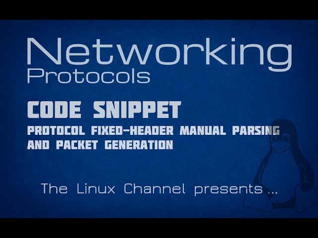 223 Code Snippet protocol fixed-header manual parsing and packet generation