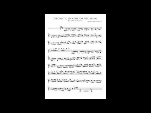 CHROMATIC PICKING FOR FINGERING - TONI YUNANTO