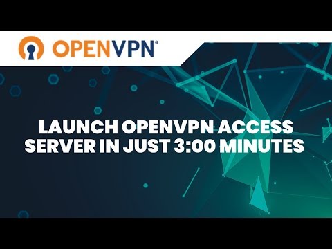 OpenVPN Reviews and Pricing 2022