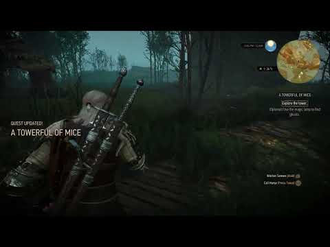 The Witcher 3 - A Towerful of Mice: Reach Fyke Island: Use Magic Lamp To Find Ghost Gameplay PS5 4.0