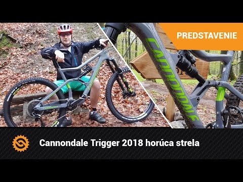 Cannondale Trigger Carbon 2018 mountain bike