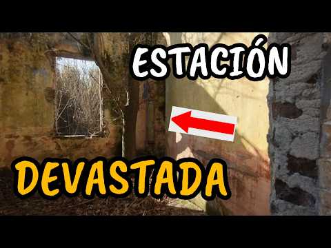 ¿Queda algo? La estación que desapareció bajo la selva bonaerense