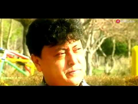 Seginix   Anwar Hakim