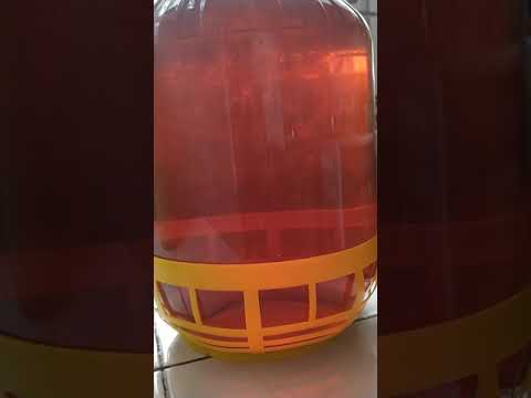 Miód pitny korzenny na soku z brzozy