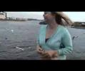 Cake Gets Attacked By Seagulls And Then A Swan