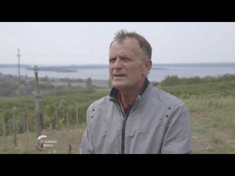 Uzgoj VINOGRADA i proizvodnja VINA u selu RAM - U nasem ataru 918