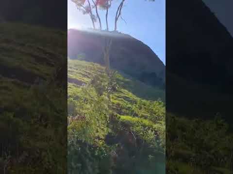 indo na cidade santa Helena de minas..olha que paisagem linda