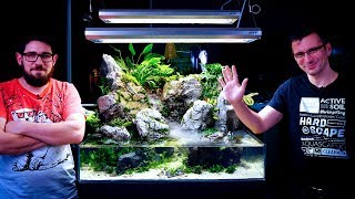 PLANTING OUR PALUDARIUM - THE RAINFOREST IS READY WITH THE WATERFALL