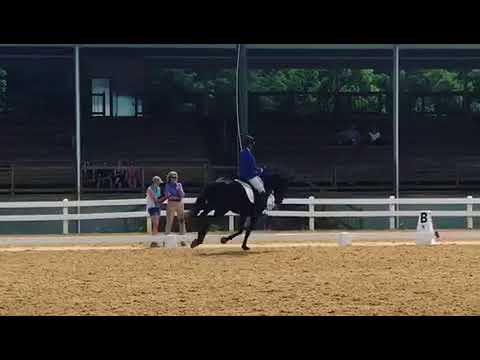 Draconis 3 year old materiale