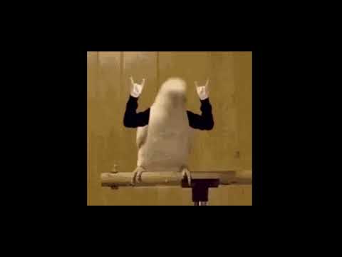 Ironvytas - Tu gali feat. Raminta Blazyte (IRONVYTAS 3 - 2019)