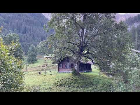 Here comes my bus for Meiringen