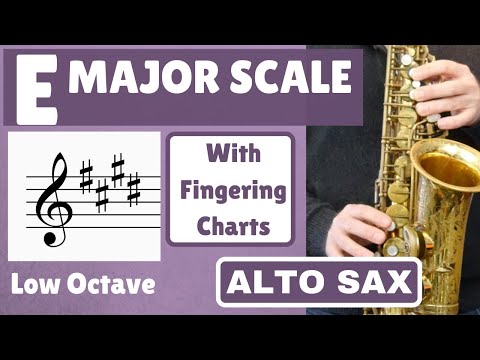 ALTO SAX E Major Scale | Lower Octave SLOW