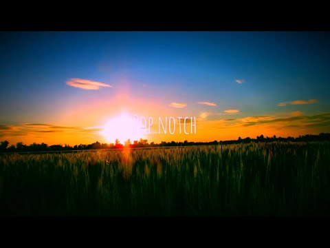 Jemme, Oda Loves You & Minus Manus - She Will Be Loved