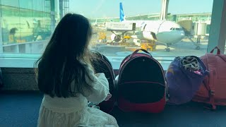 Flying from Turkey to Japan with Our Two Cats | International Move 猫2匹と一緒にトルコから日本へ✈️