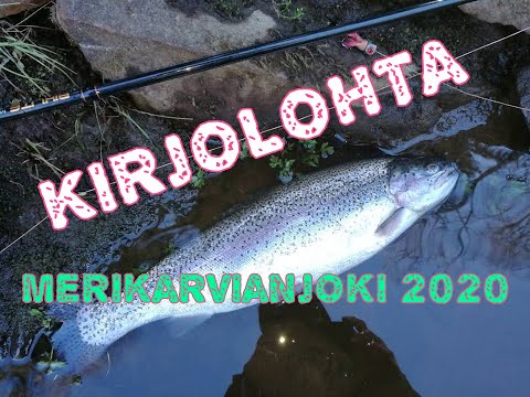 Kirjolohta | Merikarvianjoki 2020 | Kalastus