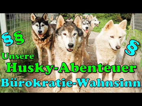 Husky Hof vs. Deutscher Bürokraten Wahnsinn 😣 / Nerven liegen blank / Nature Trails