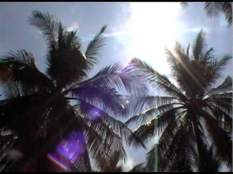 Gerilja promo-extravaganza